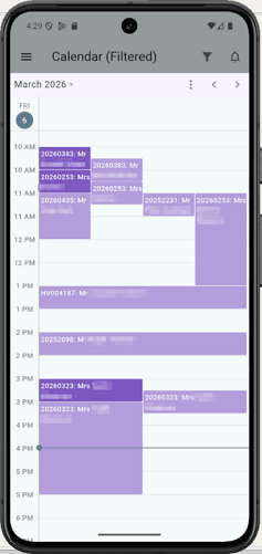 Mobile calendar interface